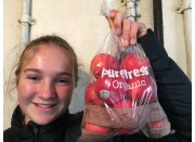ORGANIC PUREFRESH PINK LADY  APPLES  1KG Bag  